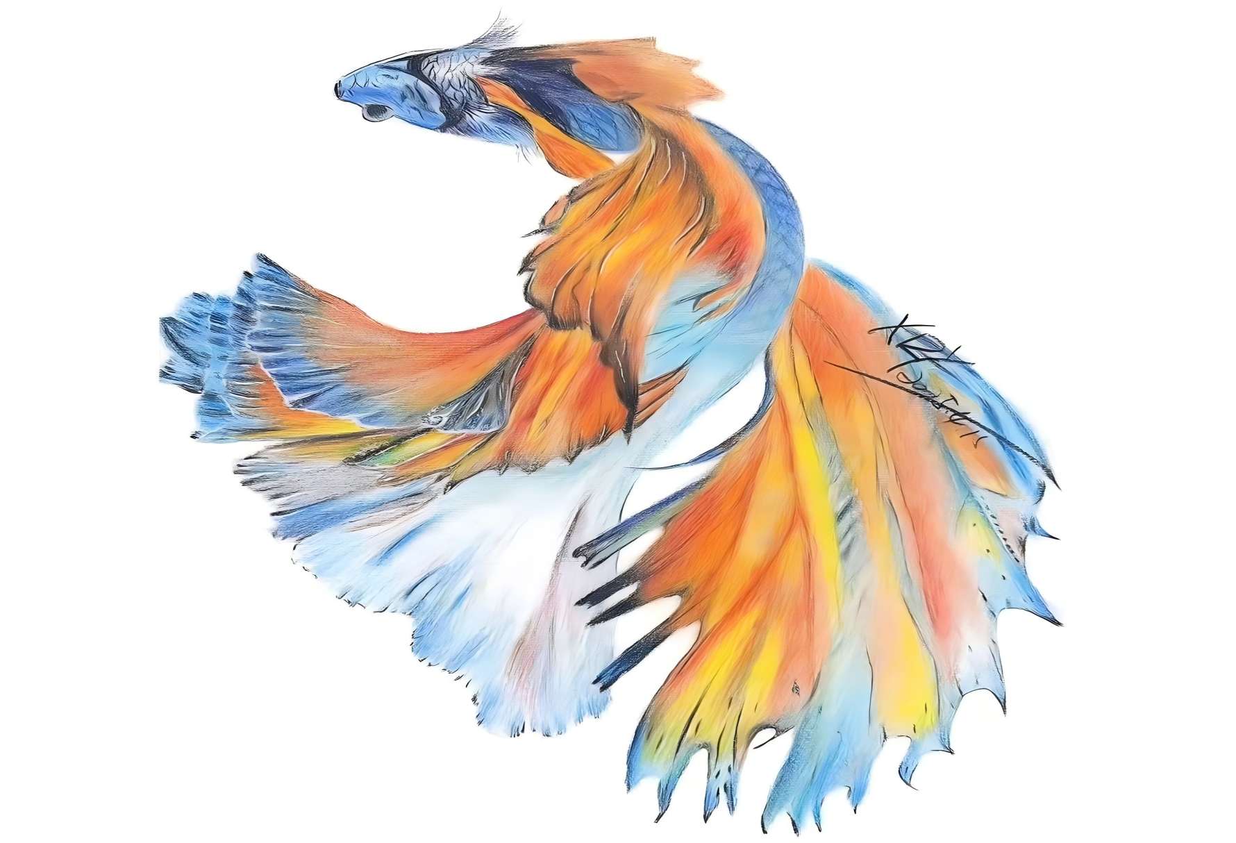 学前教育专业学生彩铅作品《鱼》